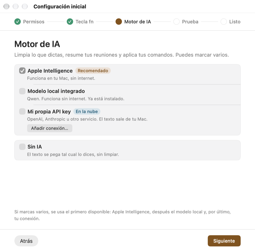 The 'AI engine' step of Dilo's first-run setup: Apple Intelligence (recommended), Built-in local model, My own API key (cloud) and No AI.